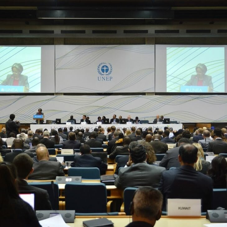 Takeaways from UNEA 5.1 for the 2022 declaration